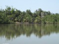 /album/photogallery/makasutu-from-the-mangroves-jpg/